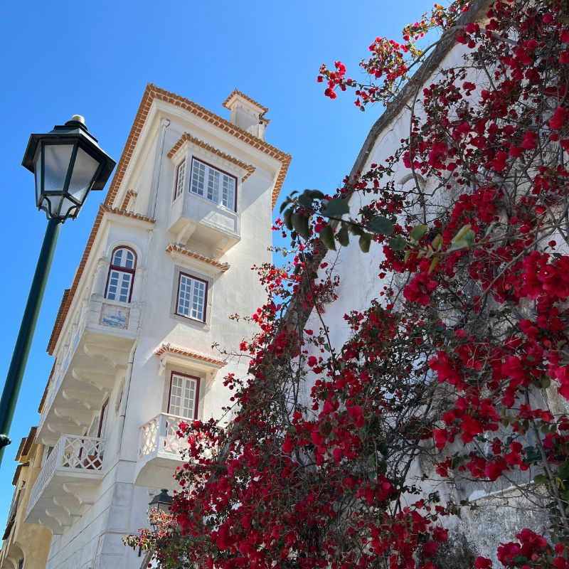 The Jessica Collection | Cascais
